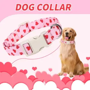 coleira ajustável para cães