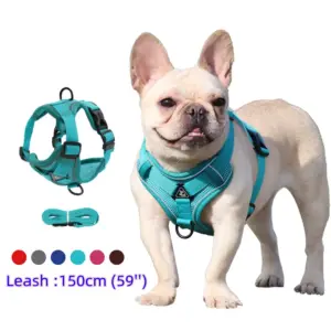 conjunto de arnês e trela para cães pequenos
