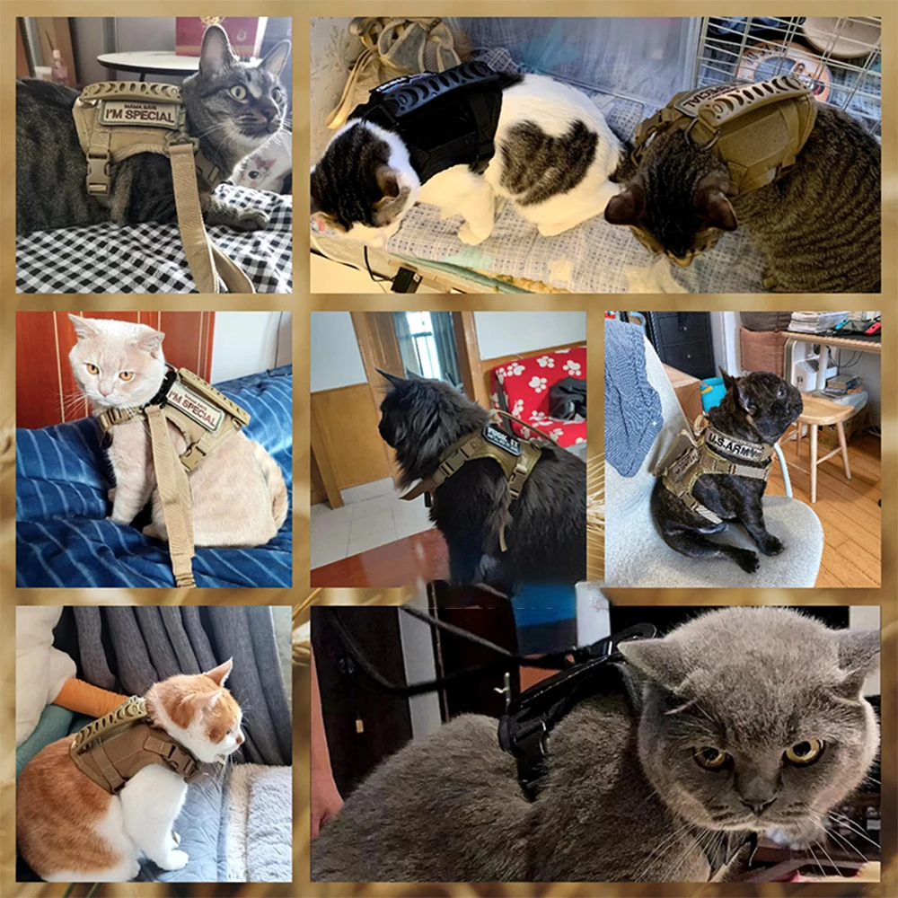 Colete para Gatos e Cães Pequenos Ajustável no Pescoço e Busto - Imagem 6
