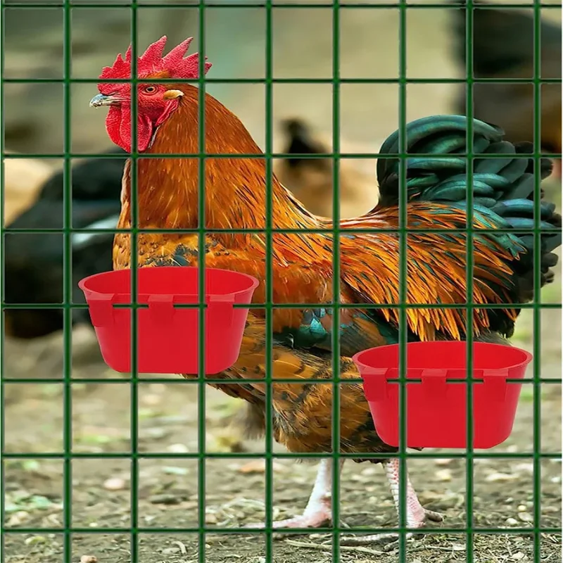 Alimentador para Aves com Ganchos Kit 12 Peças para Gaiola - Imagem 3