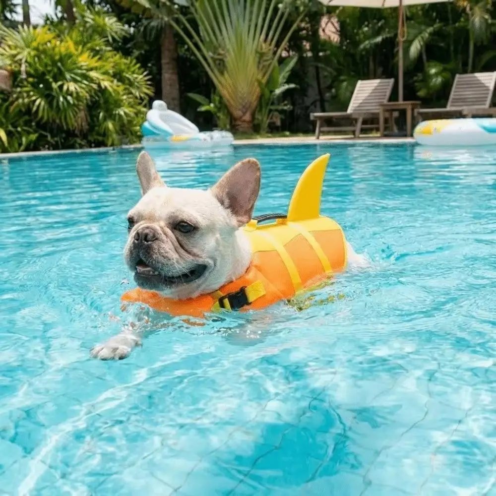 Colete Salva-Vidas para Cães de Poliéster com Alça para Piscina - Image 3