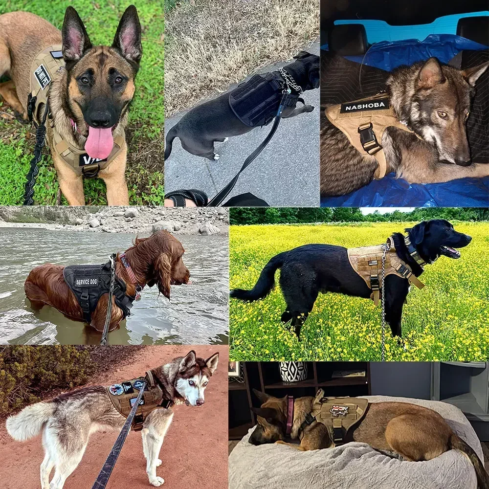 Coleira Tática para Cães de Nylon 1050D com 4 Fivelas de Liberação Rápida - Imagem 6