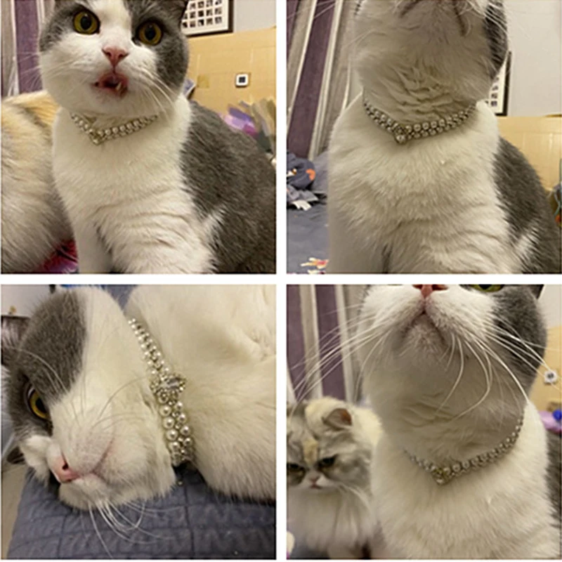 Coleira de Pérolas e Strass para Gatos e Cães Pequenos BRANCO - Imagem 4