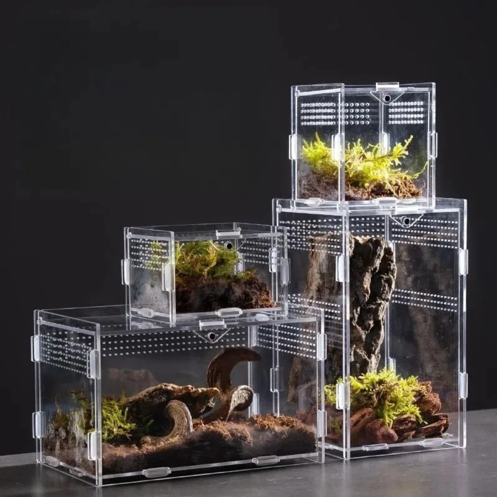 habitat acrílico para répteis transparente