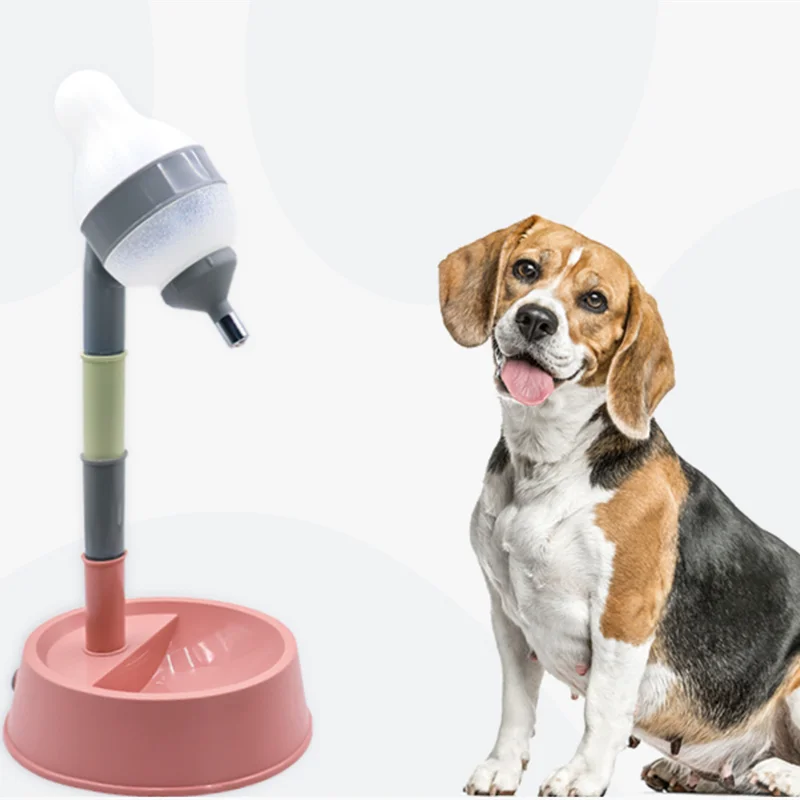 dispensador de água para cães e gatos