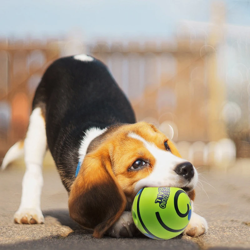 Bola Interativa para Cães com Sons de Risada ao Rolar - Imagem 4