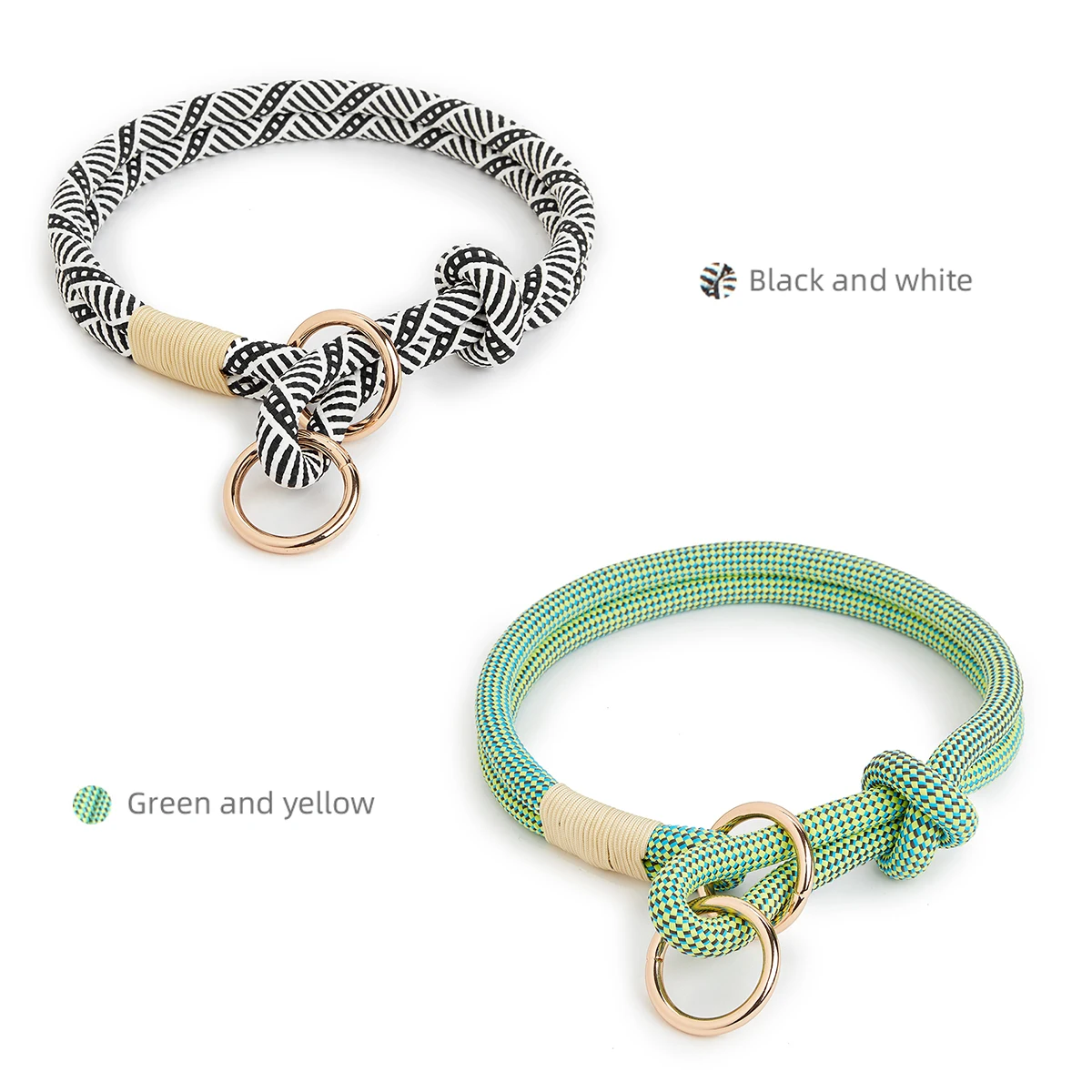 coleira e guia de nylon para cães