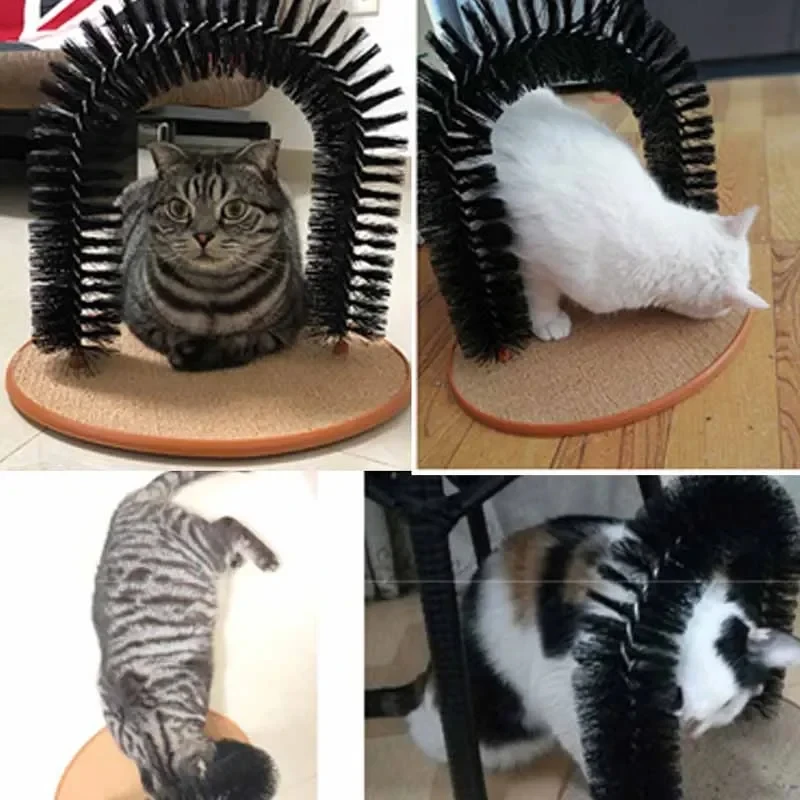 Brinquedo Arco para Gatos com Escova e Almofada de Arranhar - Imagem 6