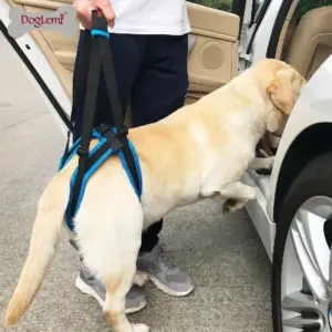 cinta auxiliar para cães grandes