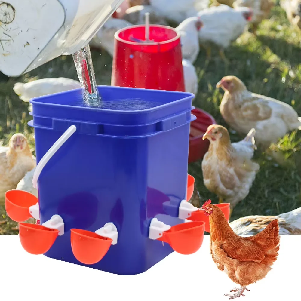 Bebedouro Automático para Aves com 8 Saídas e Balde 10 L - Imagem 4