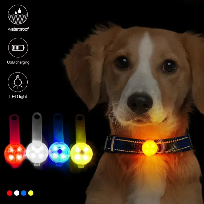 Coleira LED para Cães Recarregável USB à Prova d'Água - Imagem 2
