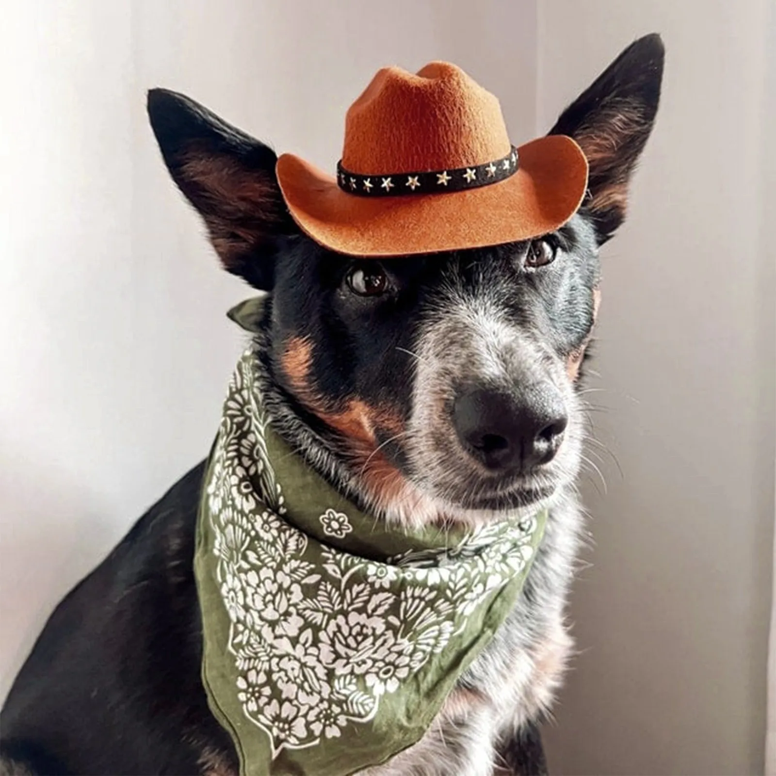 Chapéu Cowboy para Cães e Gatos Ajustável com Elástico - Imagem 3