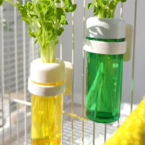 alimentador de vegetais para pássaros