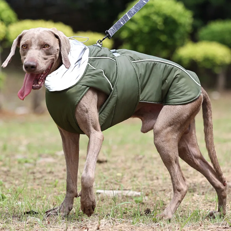Jaqueta Impermeável para Cães com Tiras Refletivas e Anel D - Imagem 4