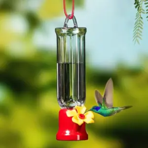 alimentador de água para pássaros