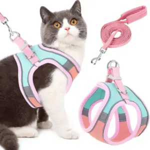 coleira para gato com guia refletiva