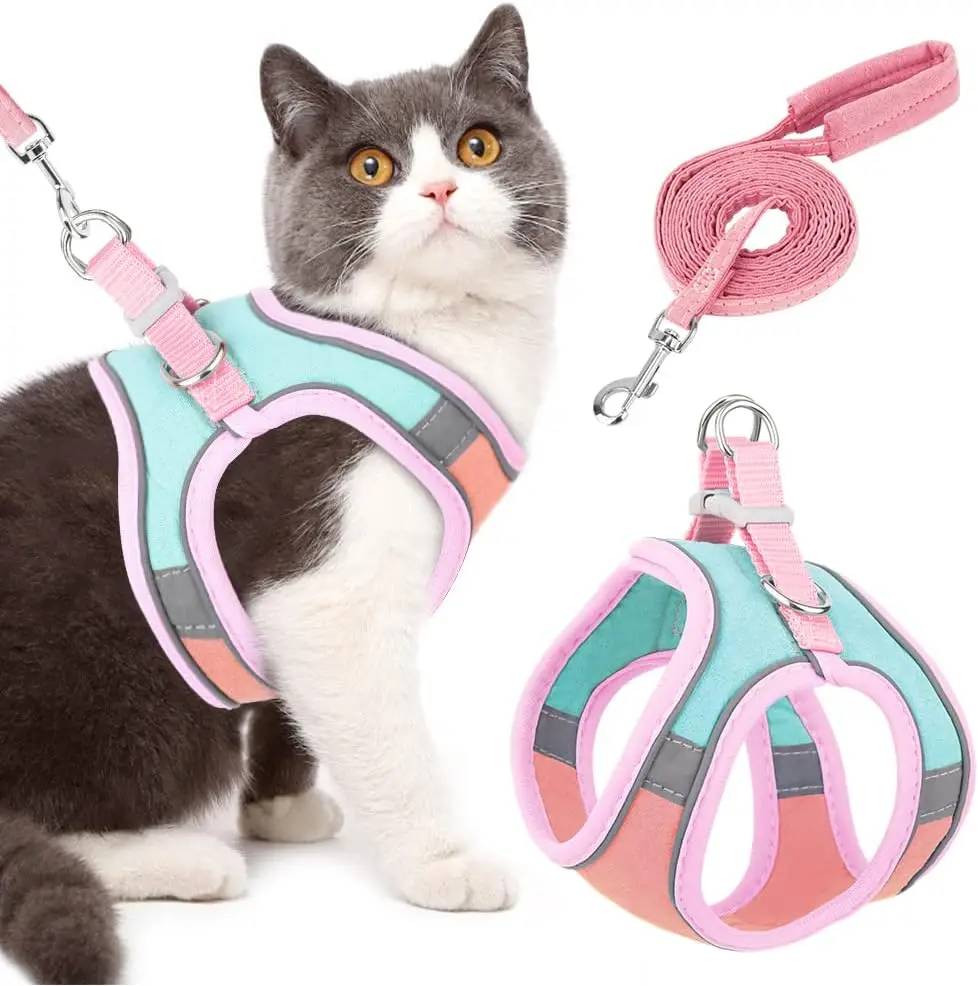 coleira para gato com guia refletiva