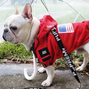 capa de chuva para cães reflexiva