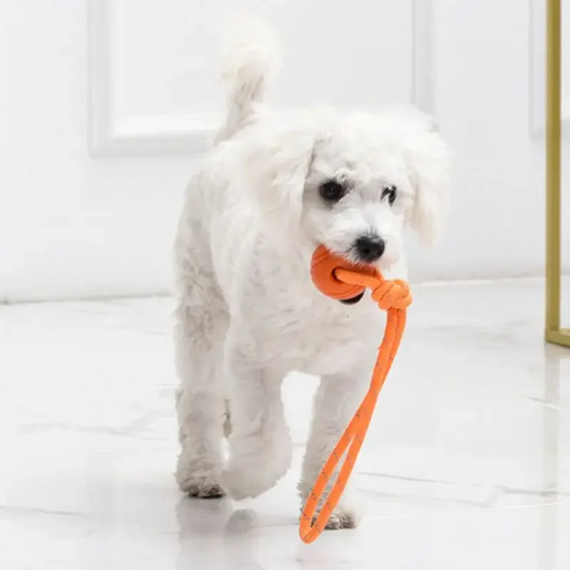 Bola de Corda para Cães Pequenos e Médios de Algodão 5 cm - Imagem 4
