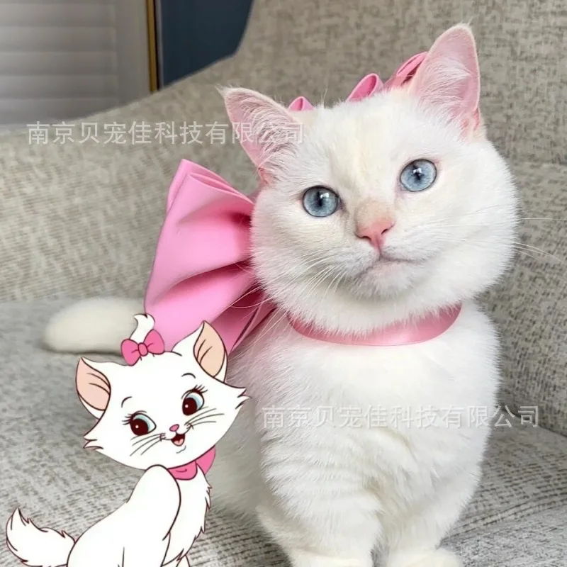 Coleira Laço para Gatos Decorativa Branca - Imagem 6