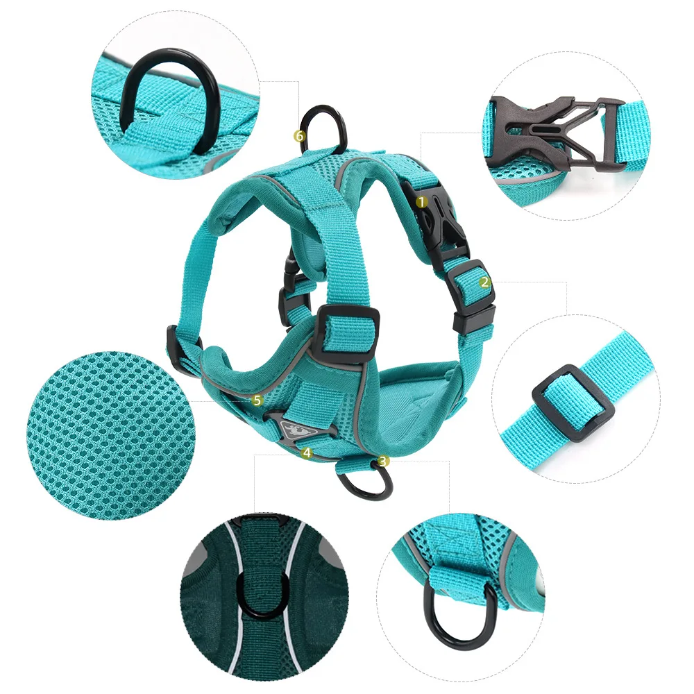 Conjunto de Arnês e Trela para Cães Pequenos de Poliéster Ajustável - Imagem 3
