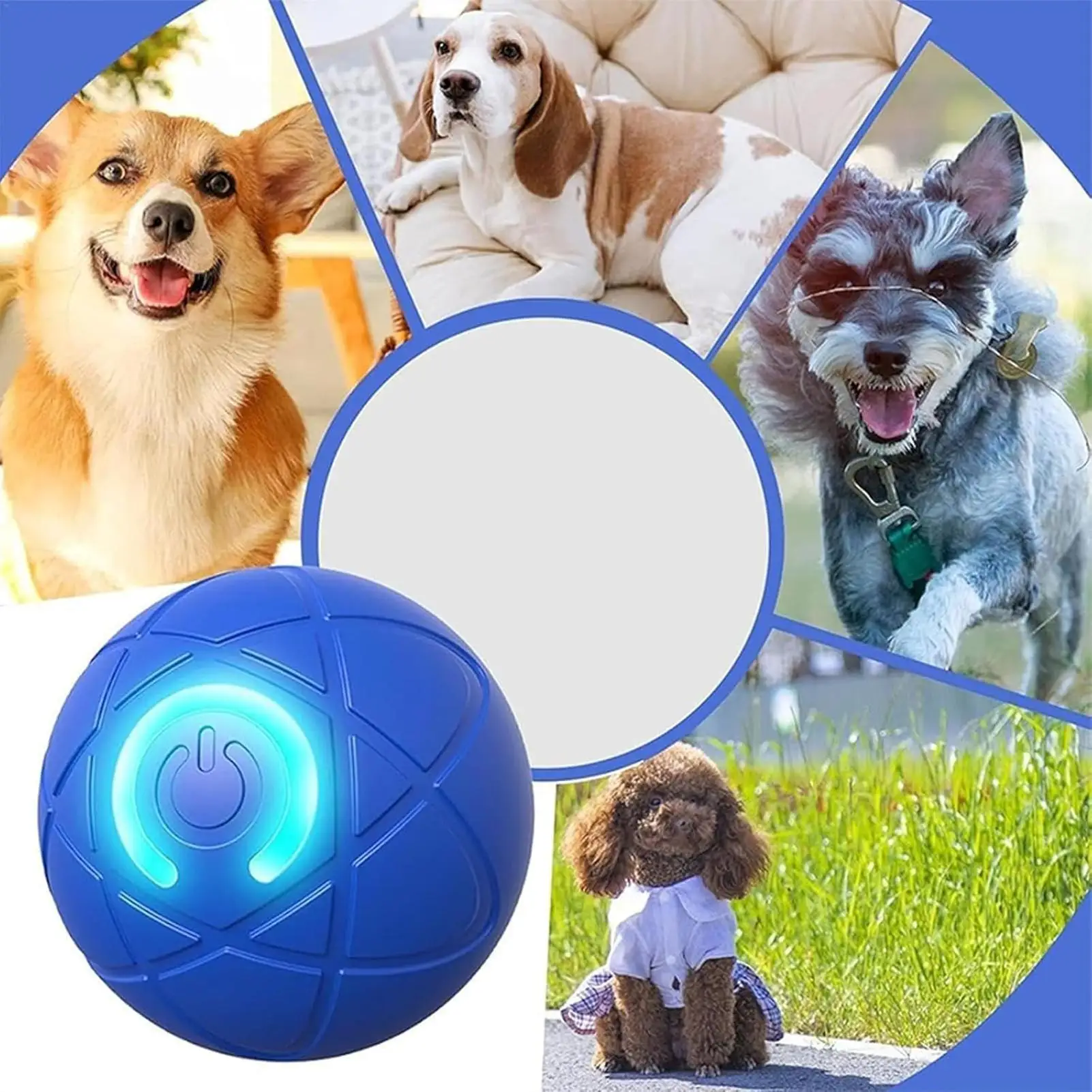 Bola de Brinquedo para Cães Recarregável USB com LED e 2 Modos - Imagem 5
