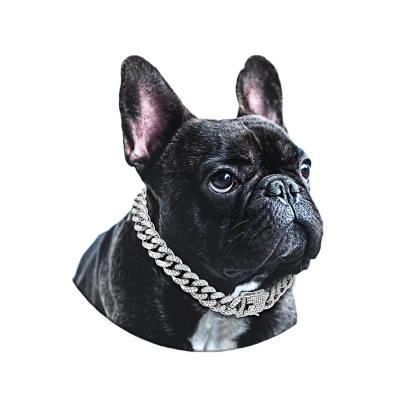 Coleira Corrente para Cães e Gatos de Metal 12,5 mm com Fivela Segura - Image 6