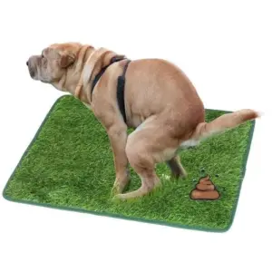 tapete de grama artificial para cães lavável