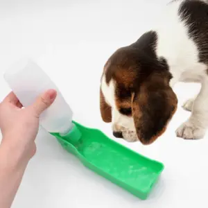 garrafa de água portátil para cães