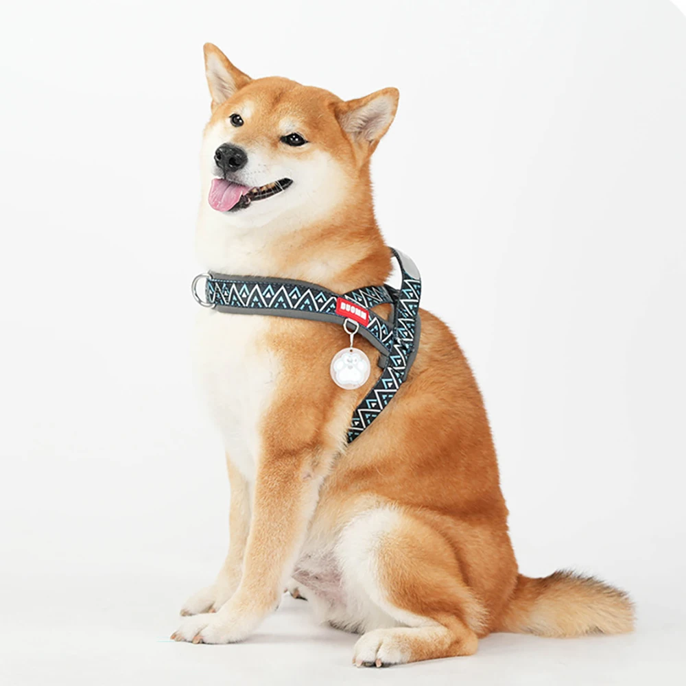 Colete Peitoral para Cães Ajustável com Alça para Passeio - Imagem 5