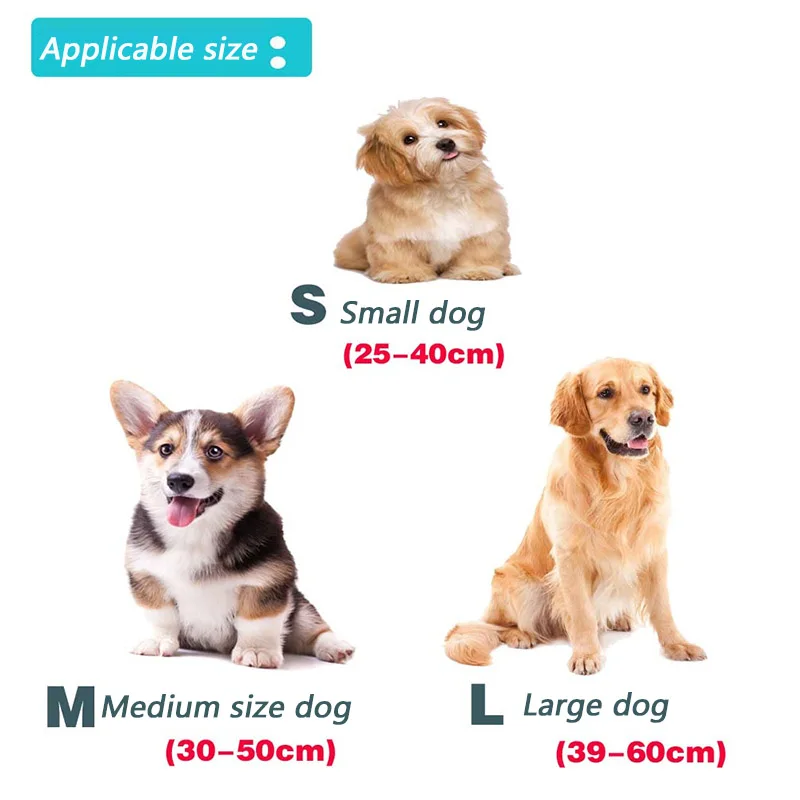 Coleira e Guia para Cães e Gatos de Nylon com Faixa Refletiva - Image 3