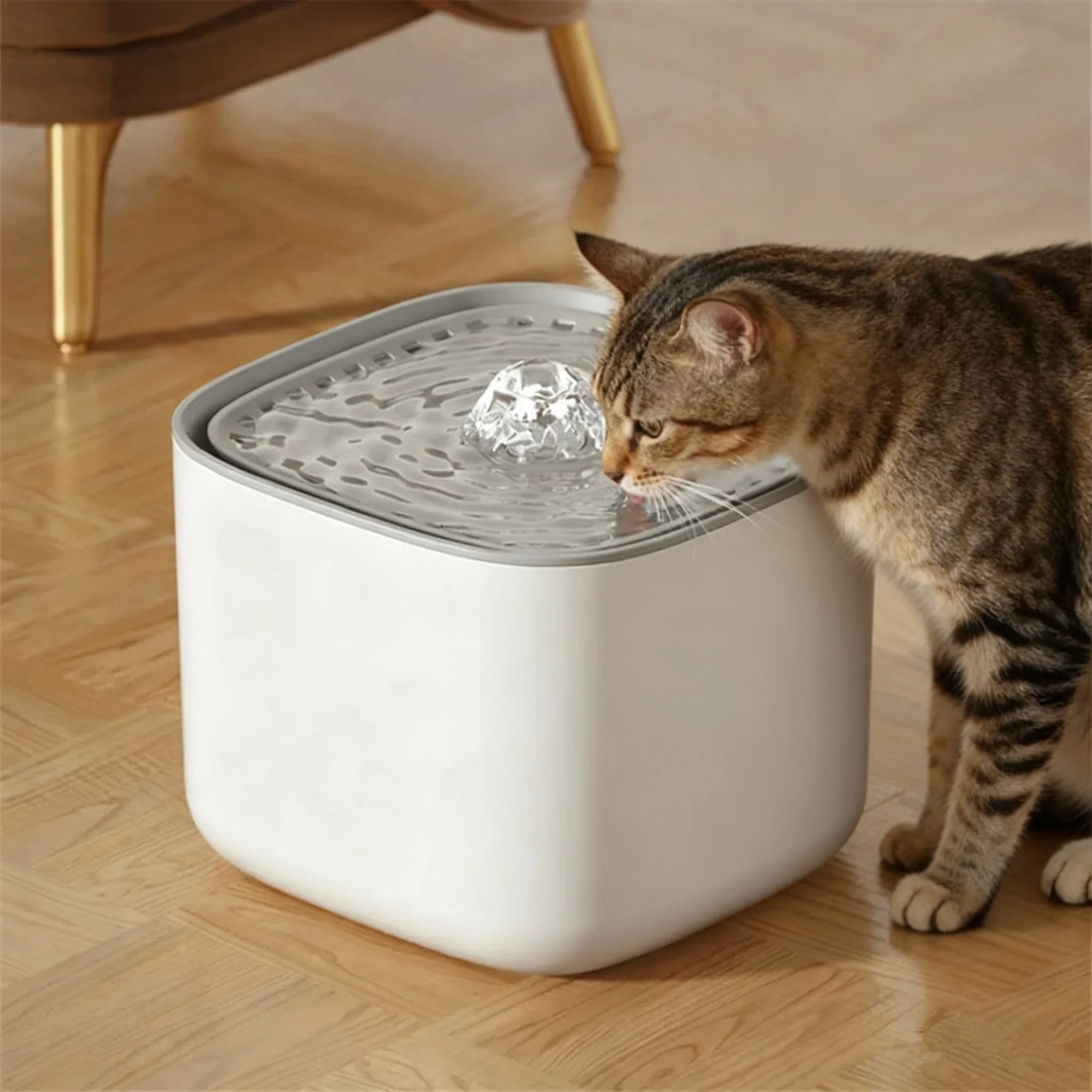fonte de água para gatos 3 litros
