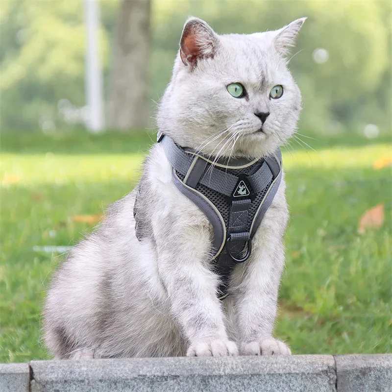 Colete para Cães e Gatos Pequenos Refletivo para Passeio - Imagem 4