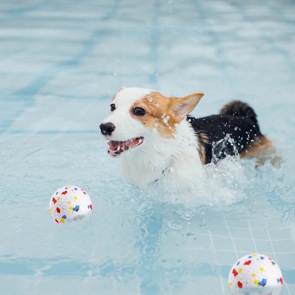 Bola EPTU para Cães de Porte Médio Resistente a Mordidas - Imagem 5