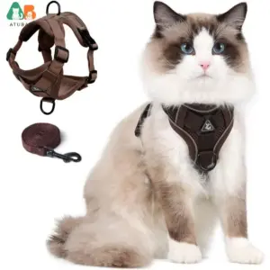 coleira e peitoral para gatos ajustável refletivo