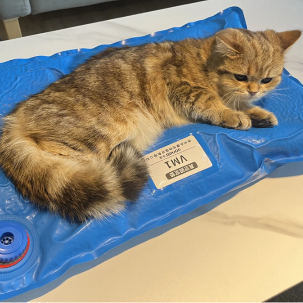 Tapete de Posicionamento para Exame Veterinário Pequeno - Image 5
