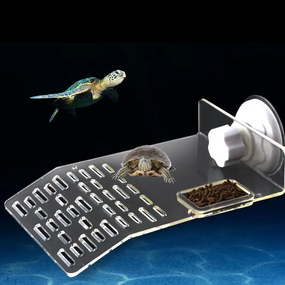 Plataforma de Descanso para Tartarugas com Degraus e Rampa - Image 2