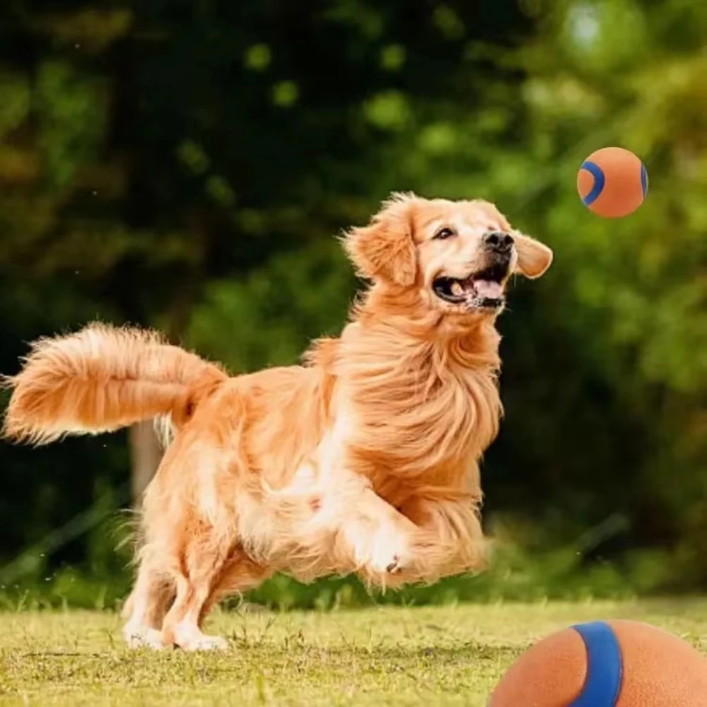 Bola de Borracha Sólida para Cães Elástica e Saltitante - Imagem 2