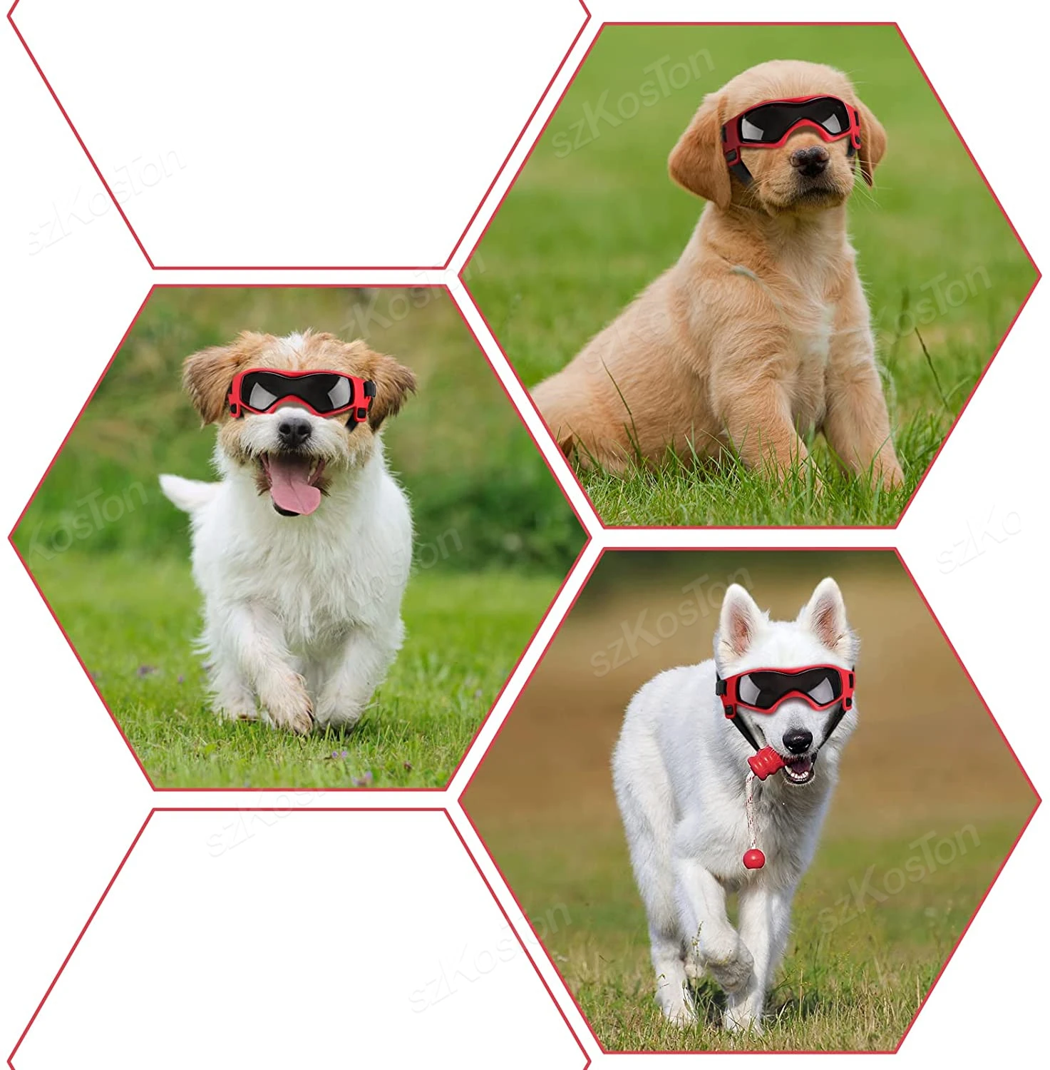Óculos de Sol para Cães de Raça Média e Pequena com Proteção UV Ajustável - Imagem 5