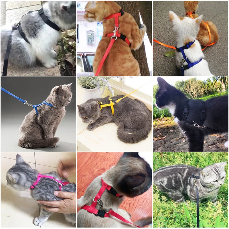 Coleira e Arnês para Gato e Coelho Ajustável de Nylon para Passeio - Imagem 5
