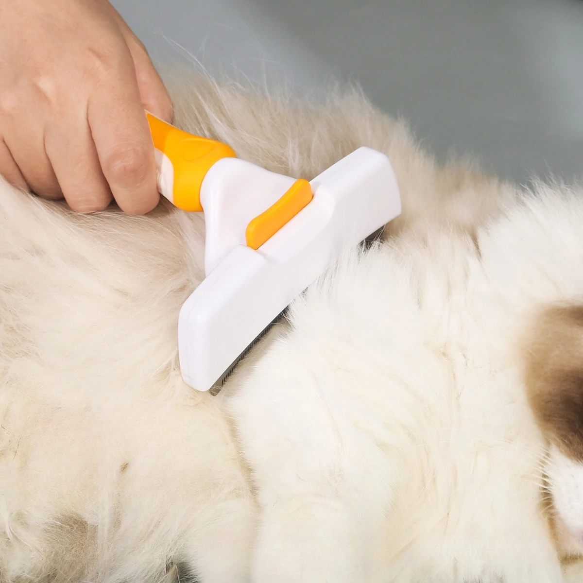 Escova Removedora de Pelos para Cães e Gatos de Pelo Curto - Imagem 2