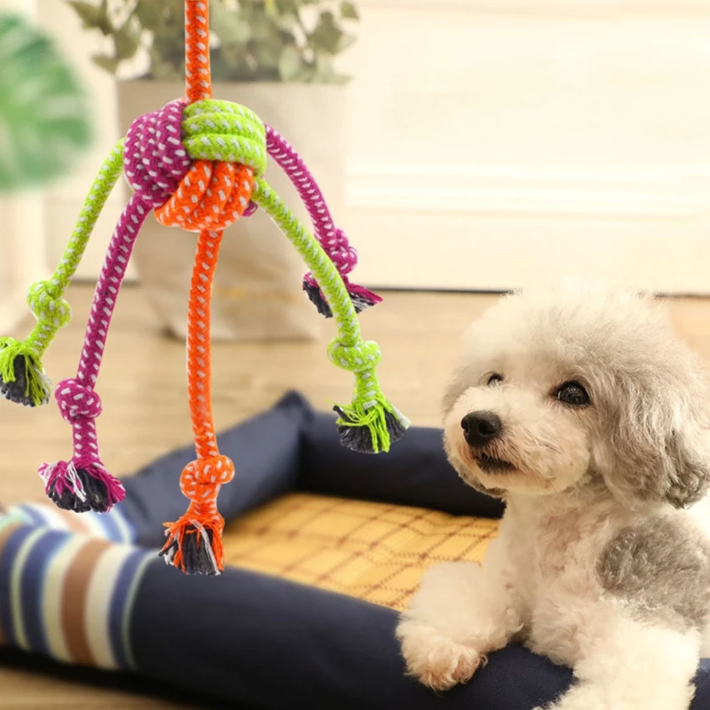 Brinquedo Nó de Corda para Cães para Limpeza dos Dentes - Imagem 4