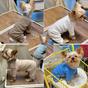 pijama macacão para cães de poliéster