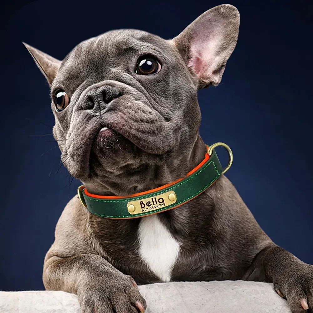 Coleira Personalizada para Cães de Couro PU com Placa de Identificação - Imagem 4
