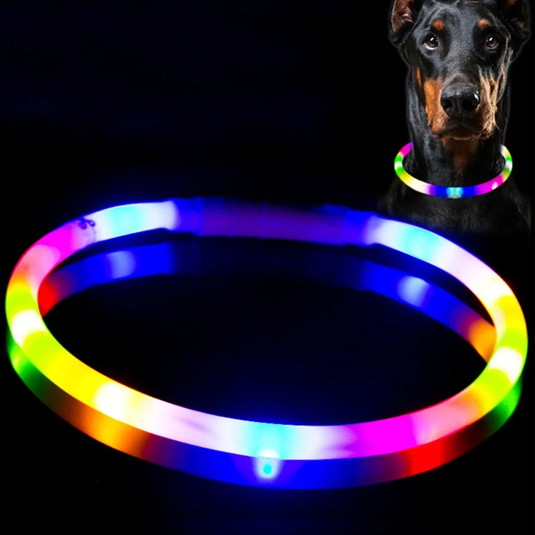 Coleira LED para Cães e Gatos Recarregável USB com 4 Modos de Luz - Image 3