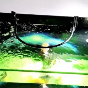 anel flutuante para alimentador de aquário