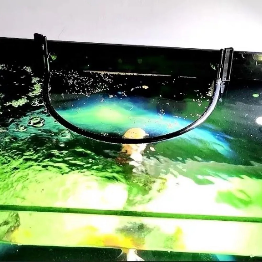 anel flutuante para alimentador de aquário