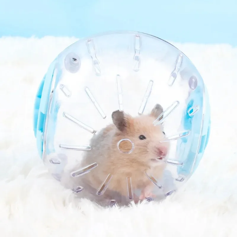 Bola de Exercício para Hamster e Gerbil de Plástico Transparente 10 cm - Imagem 2