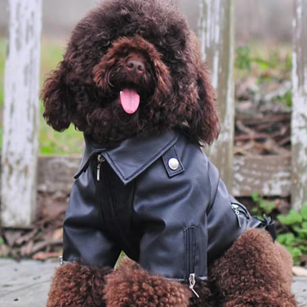 Casaco para Cães de Couro PU Preto Impermeável para Filhotes e Pequenos - Imagem 2