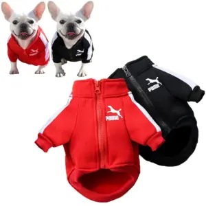 jaqueta de beisebol para cães